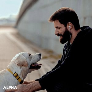Эстель, Гель для душа с охлаждающим эффектом ESTEL ALPHA HOMME, 250 мл