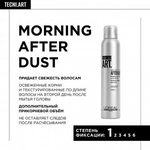Loreal Шампунь сухой для волос Loreal Professionnel 100 мл Лореаль