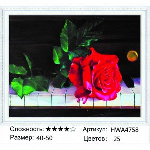 Алмазная мозаика круглые стразы 40х50 см