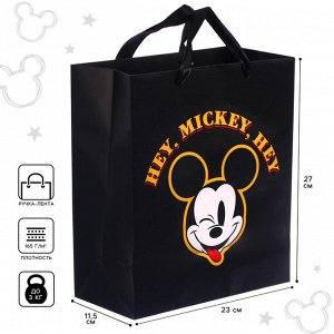 Пакет ламинированный вертикальный, 23 х 27 х 11 см "Hey Mickey Hey", Микки Маус