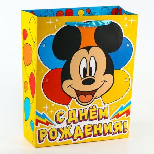 Пакет подарочный, 4 вида МИКС, 31 х 40 х 11 см