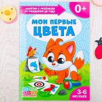 Книга Школа Талантов «Мои первые цвета»: первый год обучения, 16 страниц