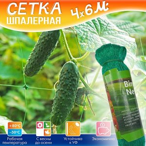-50% Сетка шпалерная, садовая, подвязка для вьющихся растений, 4 x 6 м