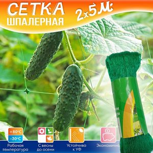 -50% Сетка шпалерная, садовая, подвязка для вьющихся растений, 2 x 5 м