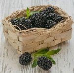 Ежевика 1.0 кг. Россия