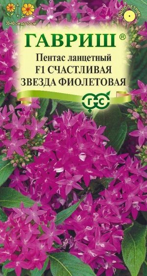 Цветы Пентас Счастливая звезда Фиолетовая F1 ЦВ/П (ГАВРИШ) 3шт однолетник 30-40см