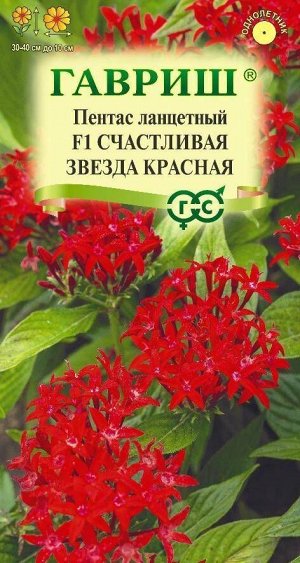 Цветы Пентас Счастливая звезда Красная F1 ЦВ/П (ГАВРИШ) 3шт однолетник 30-40см