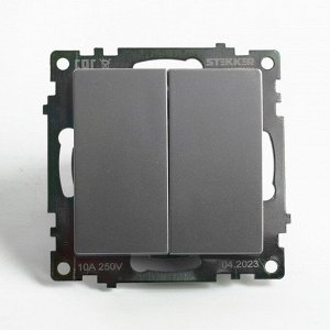 Переключатель STEKKER серия Катрин, 2 клавиши, 250 В, 10 А, серебро, GLS10-7107-03