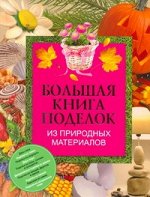 Чебаева С.О. Большая книга поделок из природных материалов