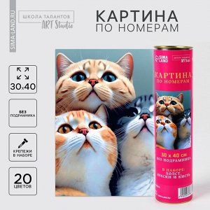 Картина по номерам в тубусе «Котята», 30x40 см