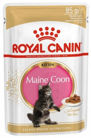 Royal Canin Kitten Maine Coon влажный корм для котят породы Мейн-Кун от 4 до 15 месяцев кусочки в соусе 85гр пауч