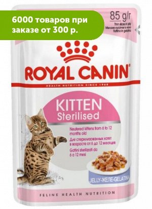 Royal Canin Kitten Sterilised влажный корм для стерилизованных котят Желе 85гр пауч