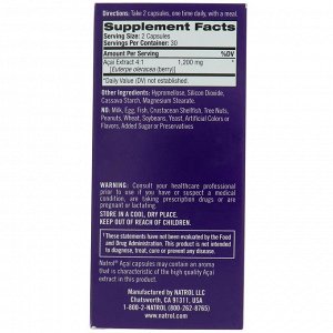 Natrol, Ягоды Асаи, Антиоксидантная защита , 1 200 мг, 60 капсул