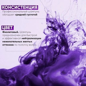 Epica Шампунь для волос с фиолетовым пигментом Professional Cold Blond 300 мл Эпика