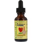 ChildLife, Важные питательные вещества, эхинацея, вкус натурального апельсина, 29,6 мл