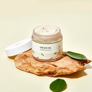 Round Lab Soybean Nourishing Cream Питательный крем для лица с соей