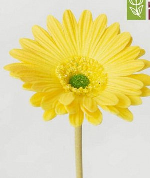 Цветок искусственный "Гербера", h 48см, цв.желтый