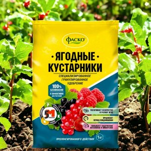 Удобрение для ягодных кустарников, 1 кг, минеральное, ФАСКО 5М