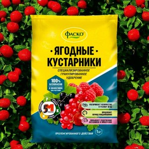 Удобрение для ягодных кустарников, 1 кг, минеральное, ФАСКО 5М