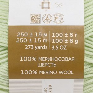 Пряжа "Элегантная" 100% мериносовая шерсть 250м/100гр (41-Салатовый)