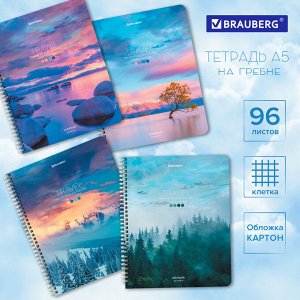 Тетрадь 96 л. КЛЕТКА, А5, BRAUBERG гребень, обложка картон, Travel (микс в спайке), 404426