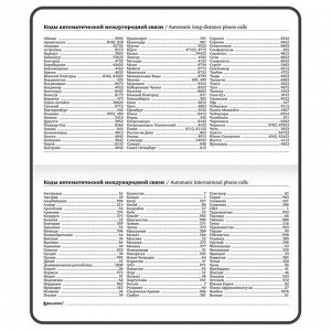 Еженедельник недатированный с резинкой 171х93мм, BRAUBERG, твердый, УФ-ЛАК, 64л, Watermelon, 114577