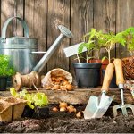 Инструменты и системы полива для сада и огорода