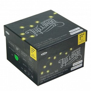 Гирлянда «Бахрома» 3x0.6 м, IP44, УМС, тёмная нить, 160 LED, свечение зелёное, 220 В