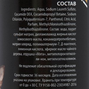 Шампунь-кондиционер "Пижон Premium" для кошек и собак, с маслом чайного дерева и мяты, 250мл