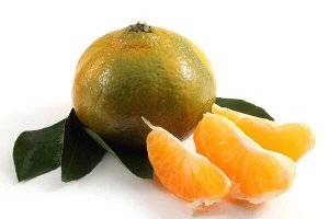 Десерт фруктовый. Зеленый мандарин Damizle Green Mandarin 1кг