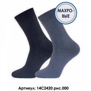 Носки мужские 2420 ARCTIC 000