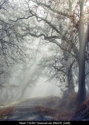 Фотообои Туманный лес 200*270