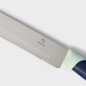 Нож кухонный Доляна «Страйп», лезвие 15 см, цвет синий