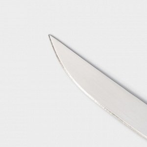 Нож кухонный Доляна «Страйп», лезвие 11,5 см, цвет синий