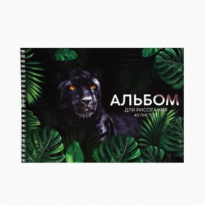 Альбом для рисования 40 листов А4 на пружине «Пантера» обложка 200 г/м?, бумага 100 г/м?.