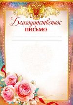 А4 &quot;Благодарственное письмо&quot;