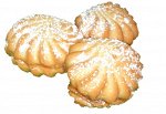 Ракушка