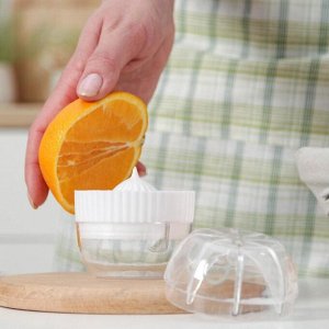 Соковыжималка для цитрусовых с лотком и крышкой Доляна, d=7.5 см, 7x8 см, МИКС