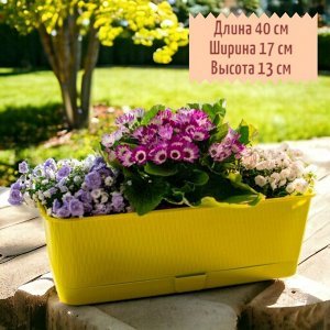 Балконный ящик для растений с поддоном, цветов, рассады "Прованс", 400x170x130, 6 л, цвет фисташковый