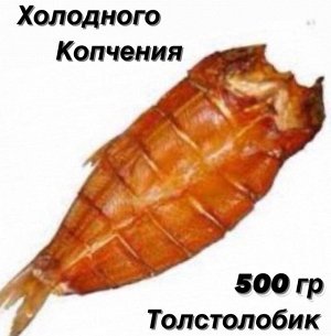 Толстолобик холодного копчения 500 гр. ДВ Ареал