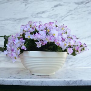 Миска для цветов (цветочный горшок) Парма, D 26, 4,1 л, белая