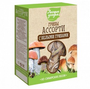 Грибы сушеные ЛЕСНЫЕ УГОДЬЯ Ассорти (с белыми грибами) (картон 45г)