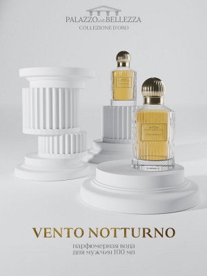 Palazzo Della Bellezza Vento Notturno М Товар Парфюмерная вода 100 мл ( акция 1 по 29 июня)