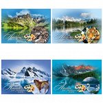 Альбом для рисования 20л., А4, на скрепке Проф-Пресс &quot;Природа и животные&quot;, лен