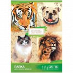 Папка для рисования А3 10л., 120 гр/м2