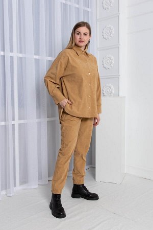 Брюки женские Т4005