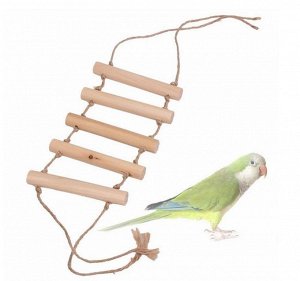 Лестница для попугая