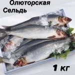 Сельдь олюторская свежезамороженная 1.0 кг. Россия