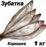 Корюшка Зубатка 1.0 кг. Николаевск