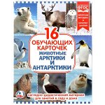 КАРТОЧКИ В ПАПКЕ. &quot;УМКА&quot; ЖИВОТНЫЕ АРКТИКИ И АНТАРКТИДЫ.ОБЪЕМ: 16 КАРТОЧЕК. 167Х218ММ в кор.30шт